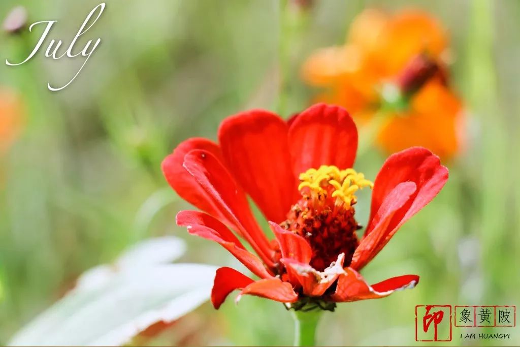 蔡店榨油,蔡店美发店