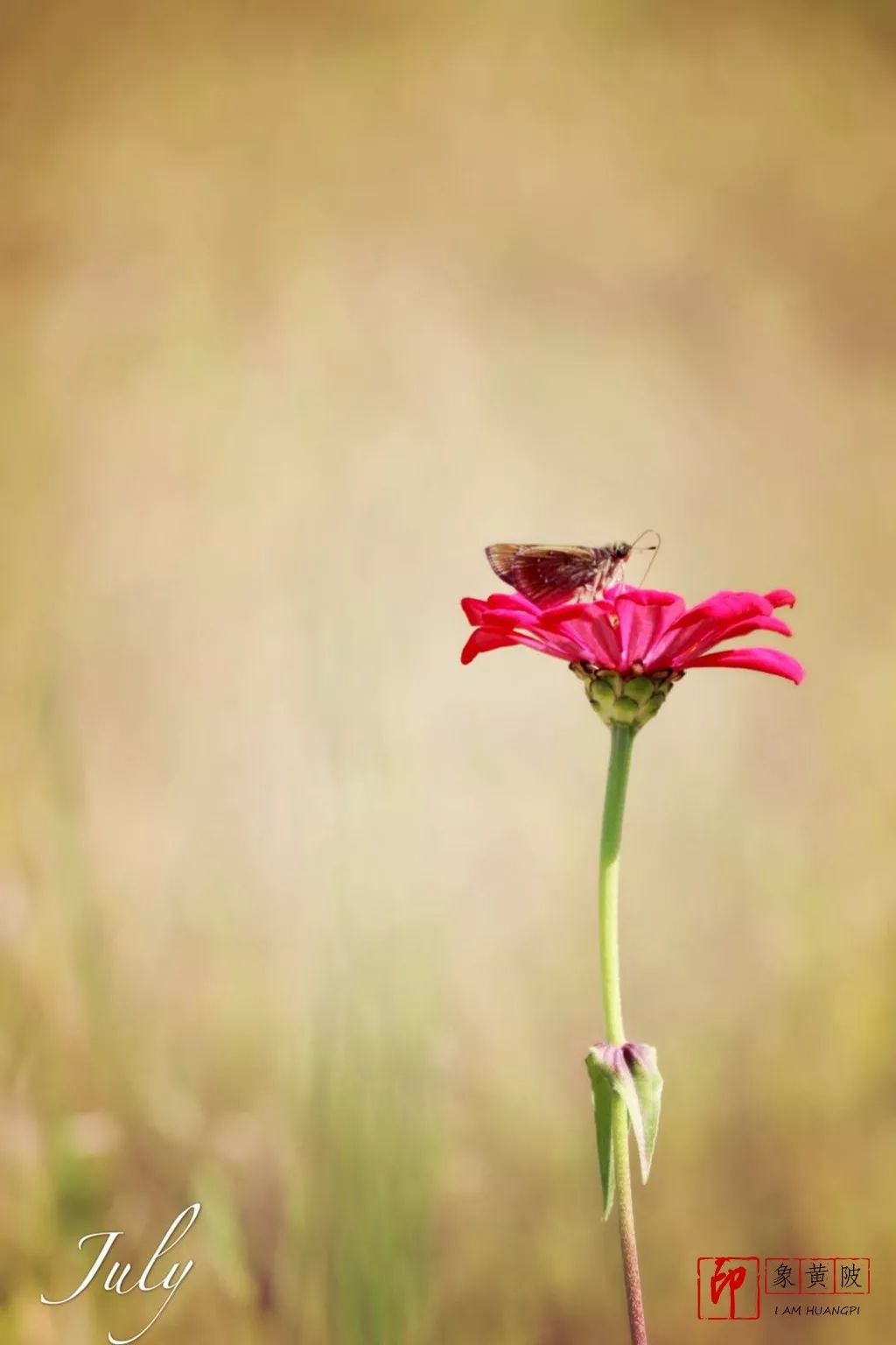 蔡店榨油,蔡店美发店