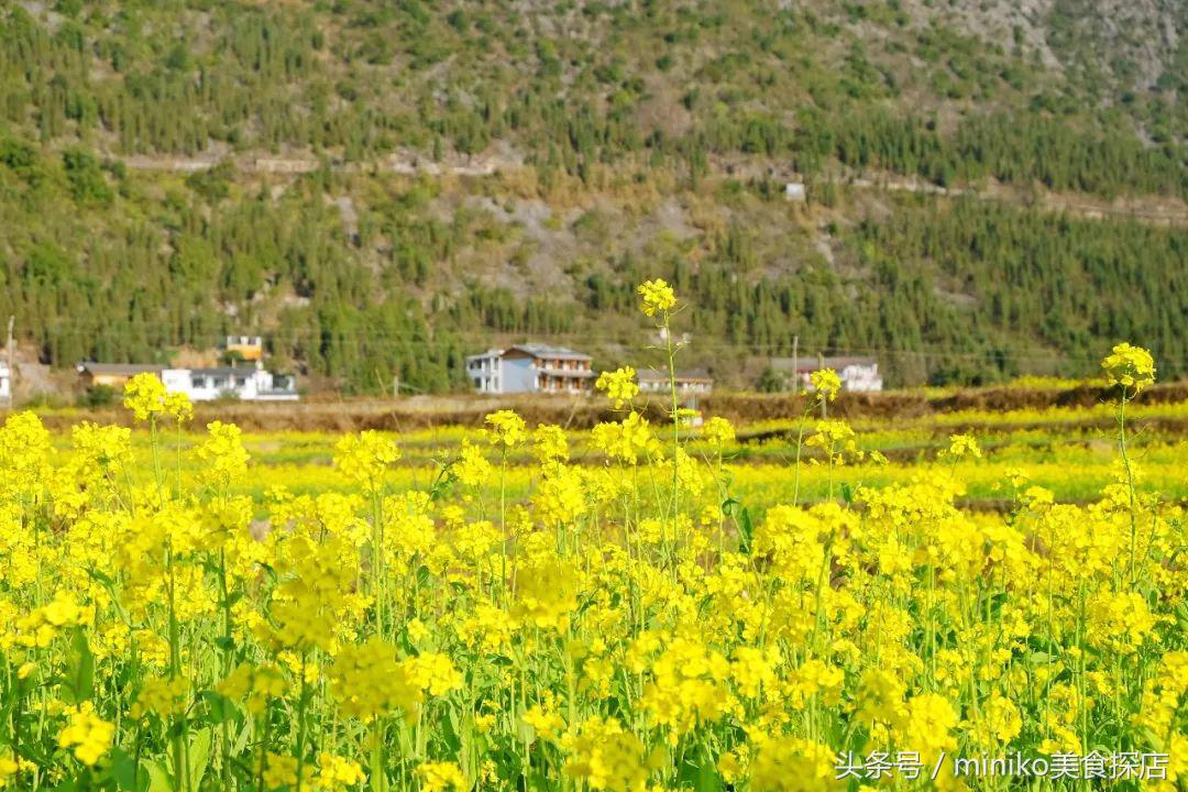 春节亲子两天一夜的旅游地方推荐,春节不挤的自驾路线