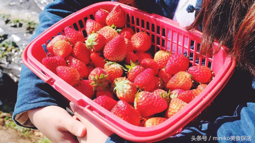 春节亲子两天一夜的旅游地方推荐,春节不挤的自驾路线