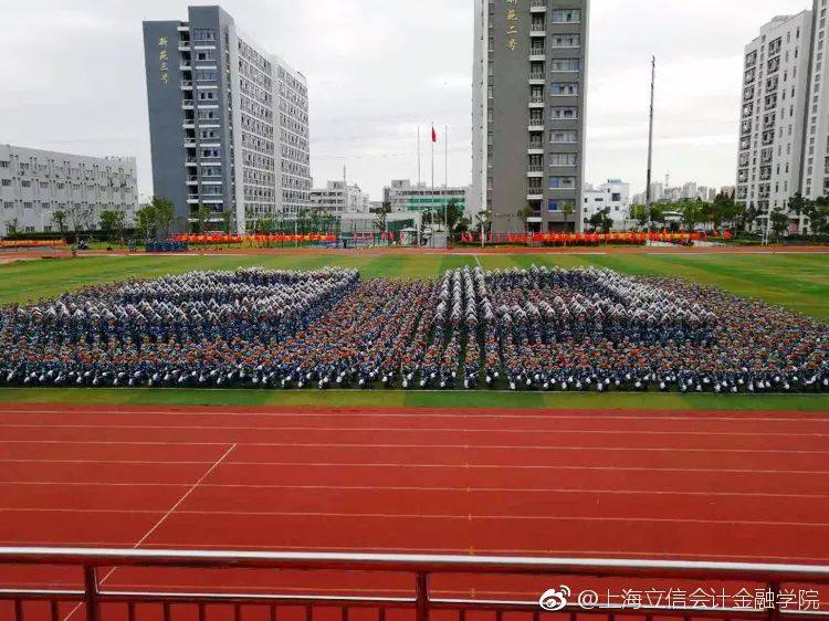 上海立信会计金融学院就业,立信会计金融学院毕业去向