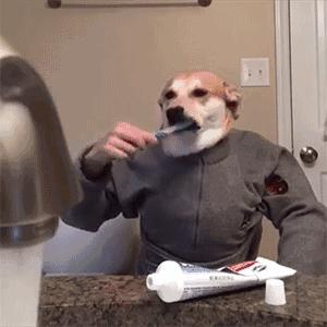 劝烟无效？你应该把这篇文章送给他