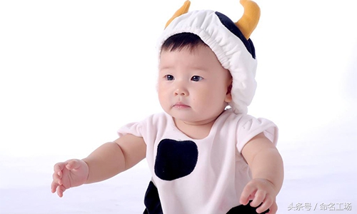 2018狗年宝宝最吉利的乳名,2018年属狗男孩名字大全