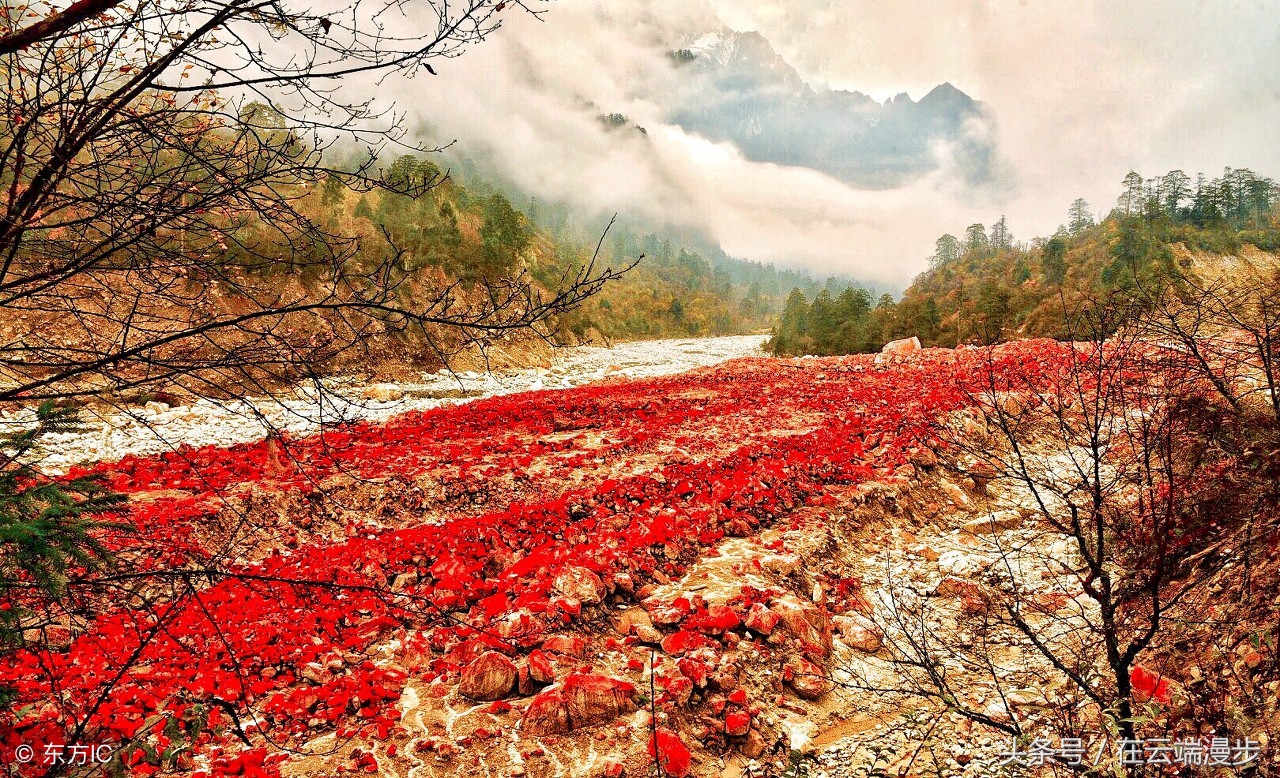 海螺沟燕子沟旅游记,燕子沟看贡嘎雪山的地方
