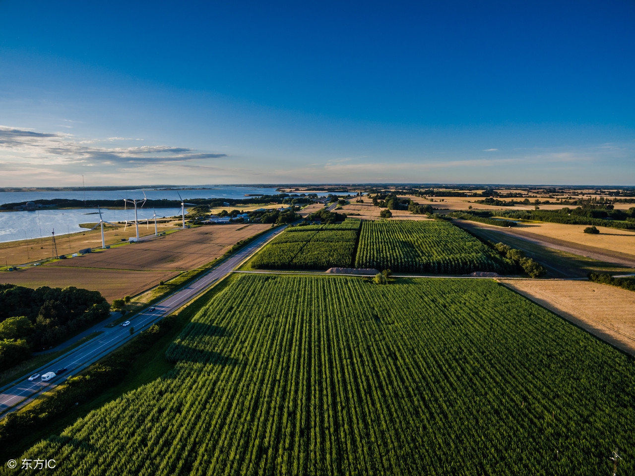 农业创业必看的10个项目,农业创业有什么好项目投资
