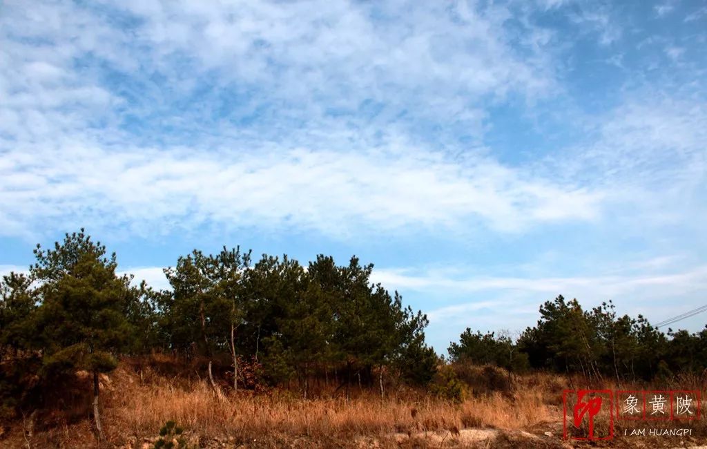 魅力蔡店，梦里家园