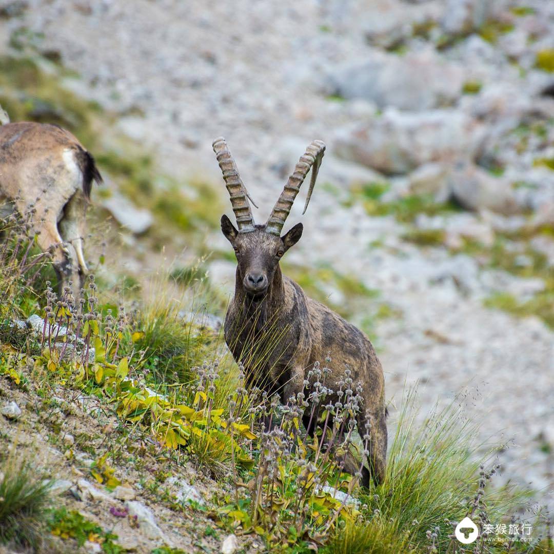 这里曾是中国领土，被誉为「中亚瑞士」，游客3天拿到电子签