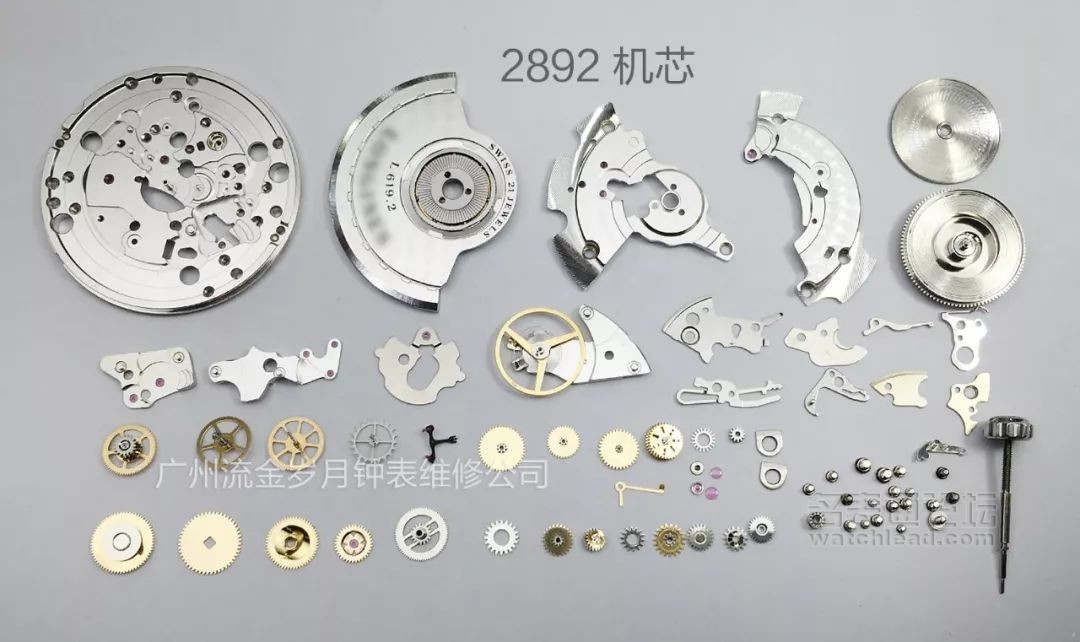 学会修表很简单：零基础也能学会2824、955、2834、2892机芯保养