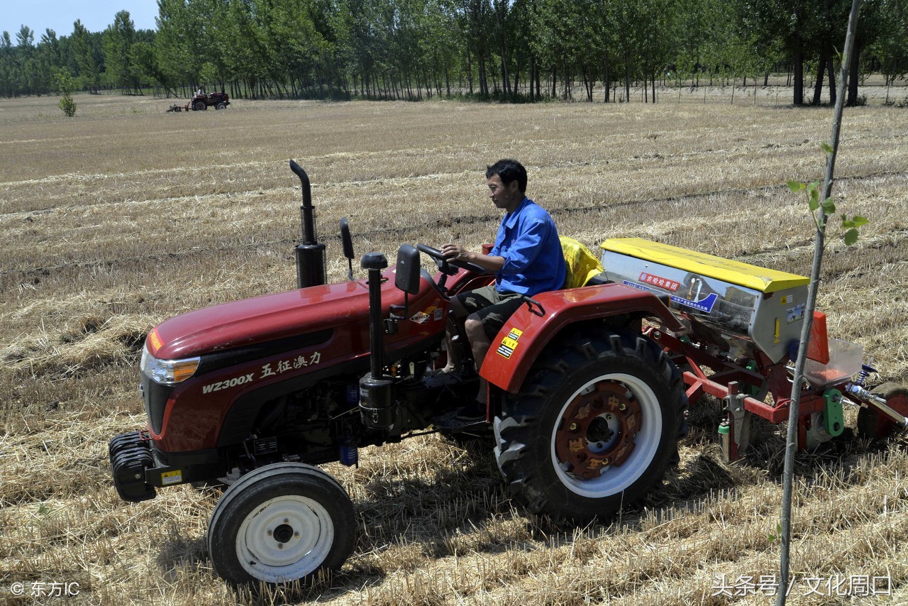 文化周口｜河南周口淮阳县曹河乡