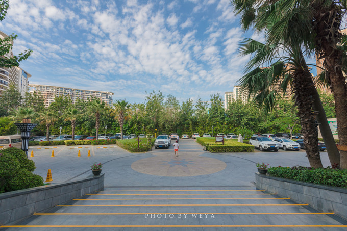 面面旅拍—诉不完千古泪，道不停三亚情，这个冬天我们掌心有太阳