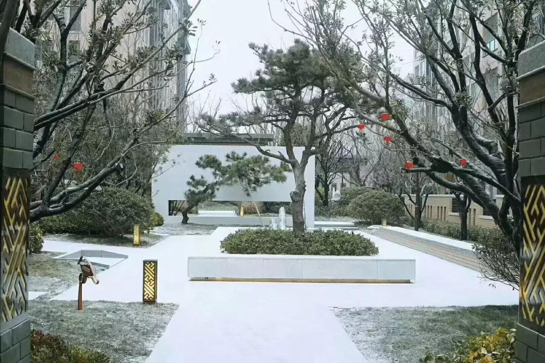 风雪中来，一见钟情，豫发何以傲娇？