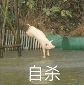 手机能拍3d照片吗,手机裸眼3d观看方法