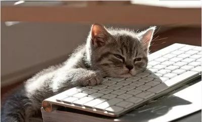 我今年11岁可是有黑眼圈怎么办,十岁女孩一直有黑眼圈怎么治好