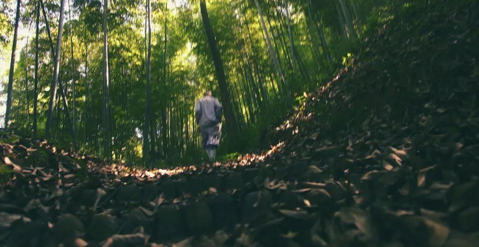 浙江安吉号称第一竹乡吗,安吉联合国最宜居城市