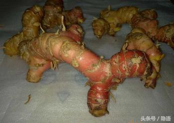 广东卤菜和四川卤菜的区别,什么牌子卤水卤菜最好吃