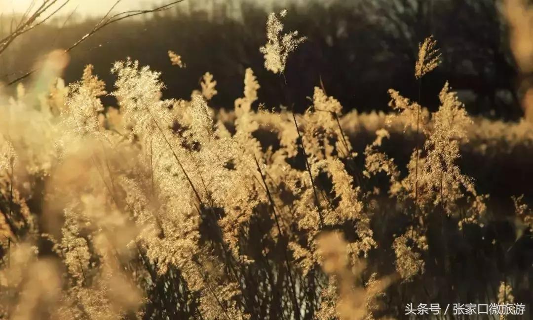 张家口下花园推荐,低调奢华的小城