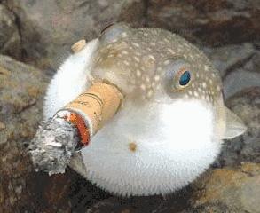 劝烟无效？你应该把这篇文章送给他