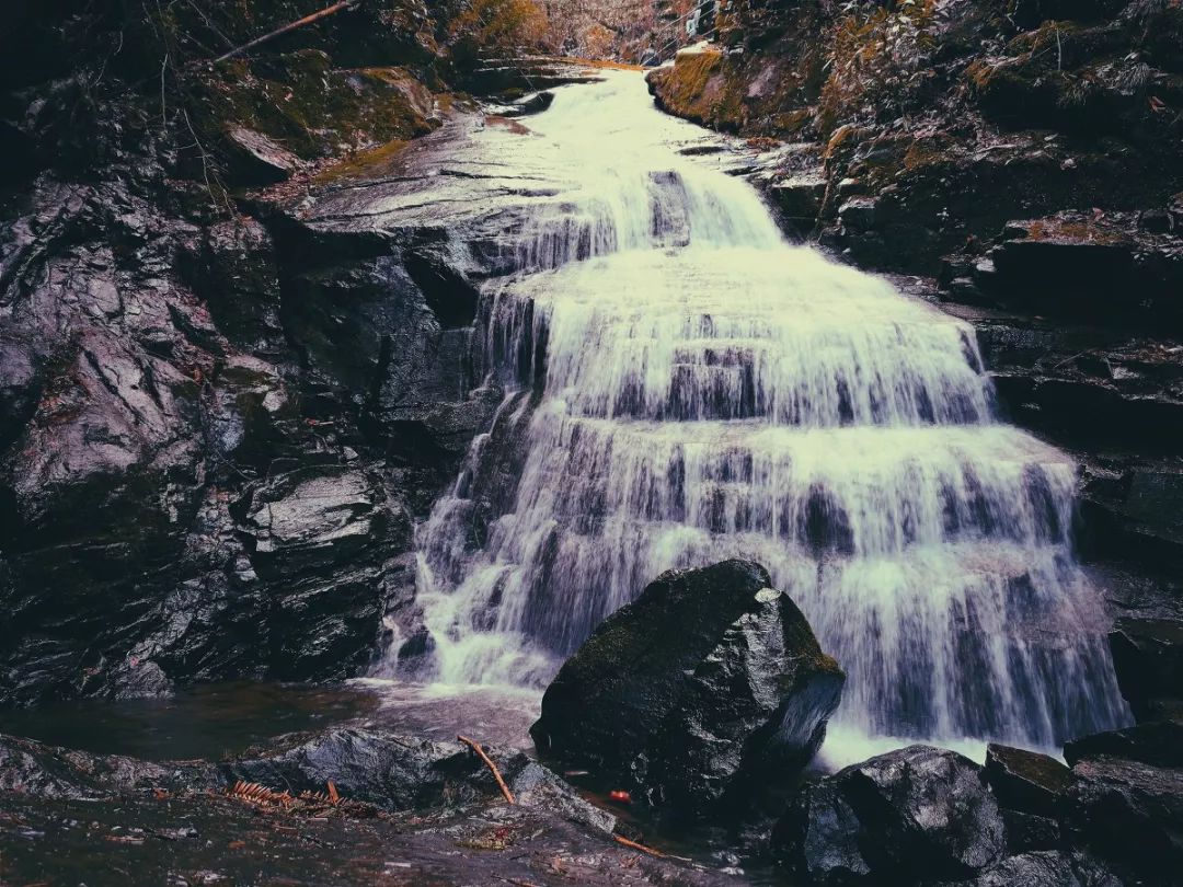 浙江安吉号称第一竹乡吗,安吉联合国最宜居城市