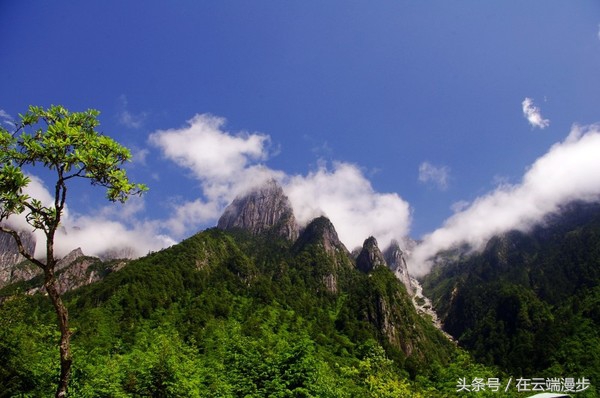海螺沟燕子沟旅游记,燕子沟看贡嘎雪山的地方