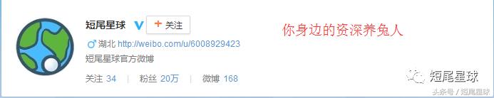 哪种兔笼比较好,兔笼有几种款式