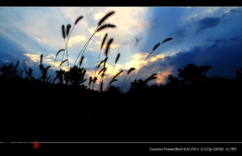 野钓意境图,意境泛舟钓鱼图