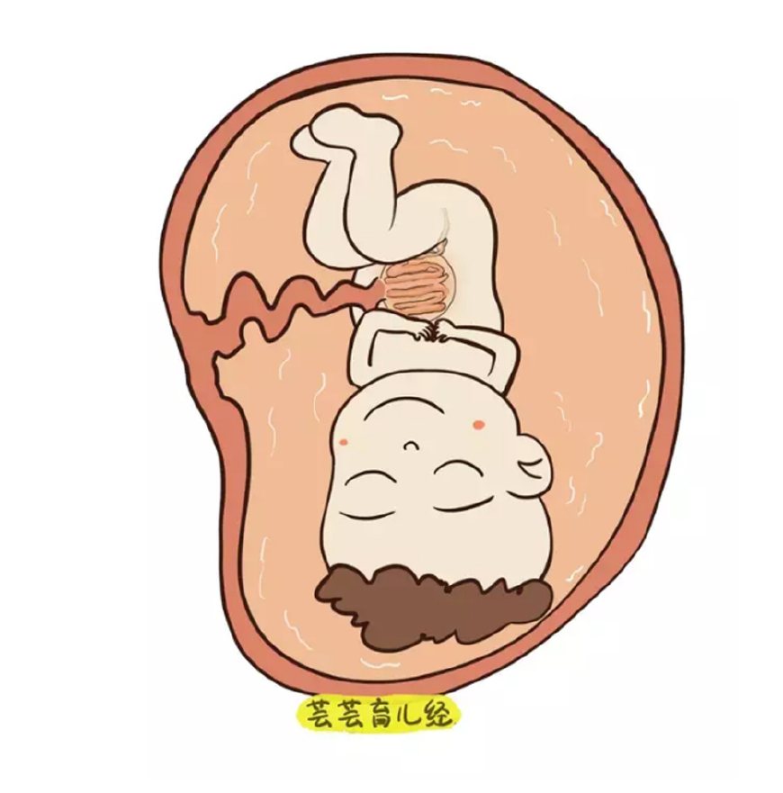 羊水意思,羊水为什么叫羊水它都有什么作用