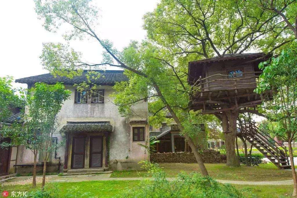 春节期间西安哪些景区免费开放,春节免费无需预约的景区