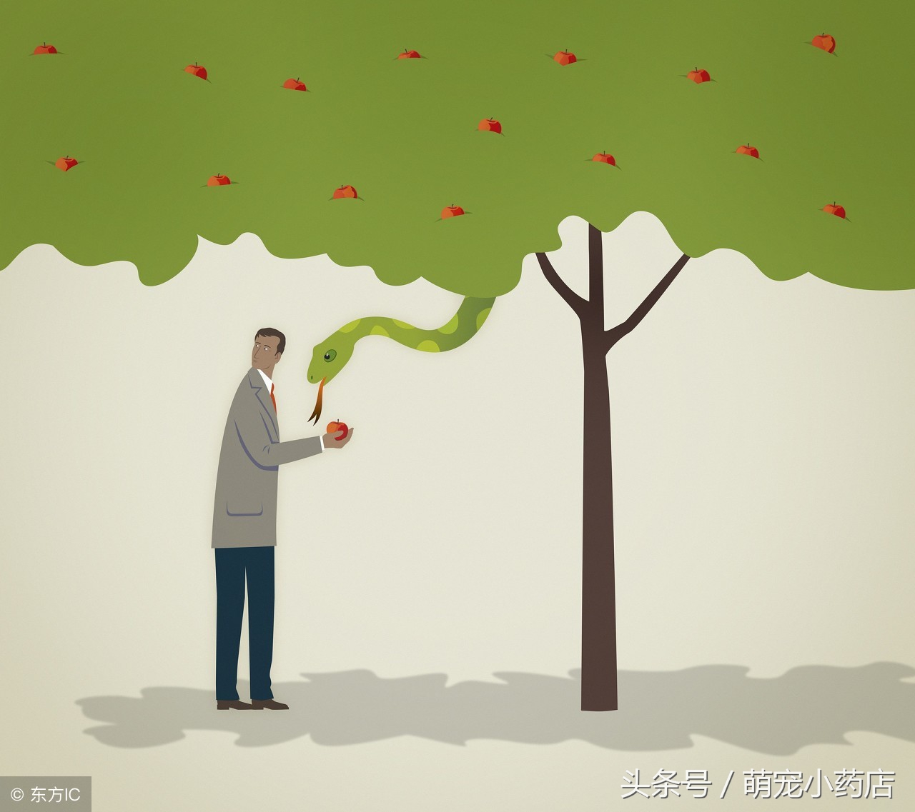 哈士奇和泰迪谁厉害,这是狗被黑得最惨的一次