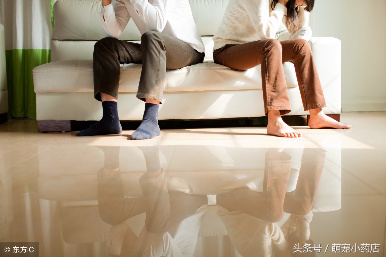 哈士奇和泰迪谁厉害,这是狗被黑得最惨的一次