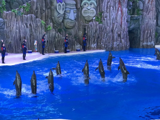 两天一晚珠海长隆旅游攻略,珠海长隆旅行一日游需要准备什么