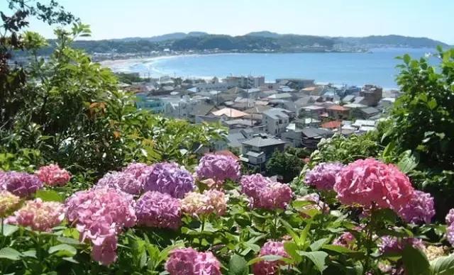 日本旅游攻略镰仓在哪,日本镰仓旅游攻略学生