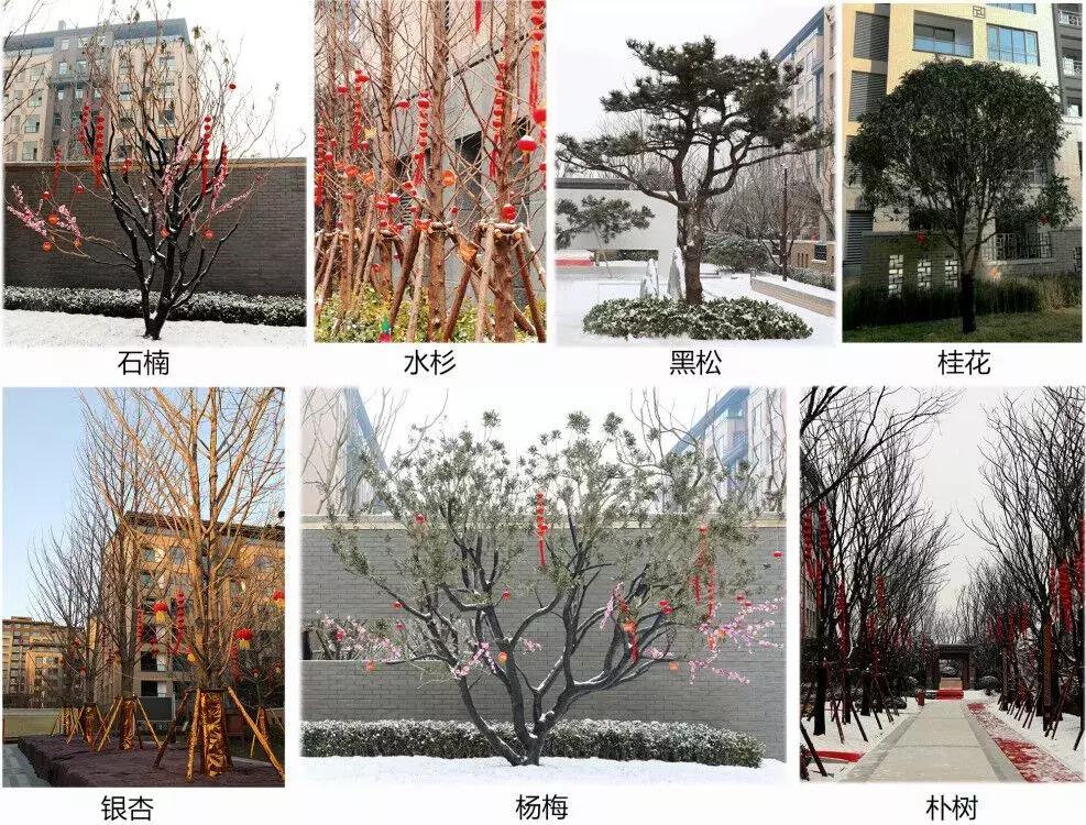 风雪中来，一见钟情，豫发何以傲娇？