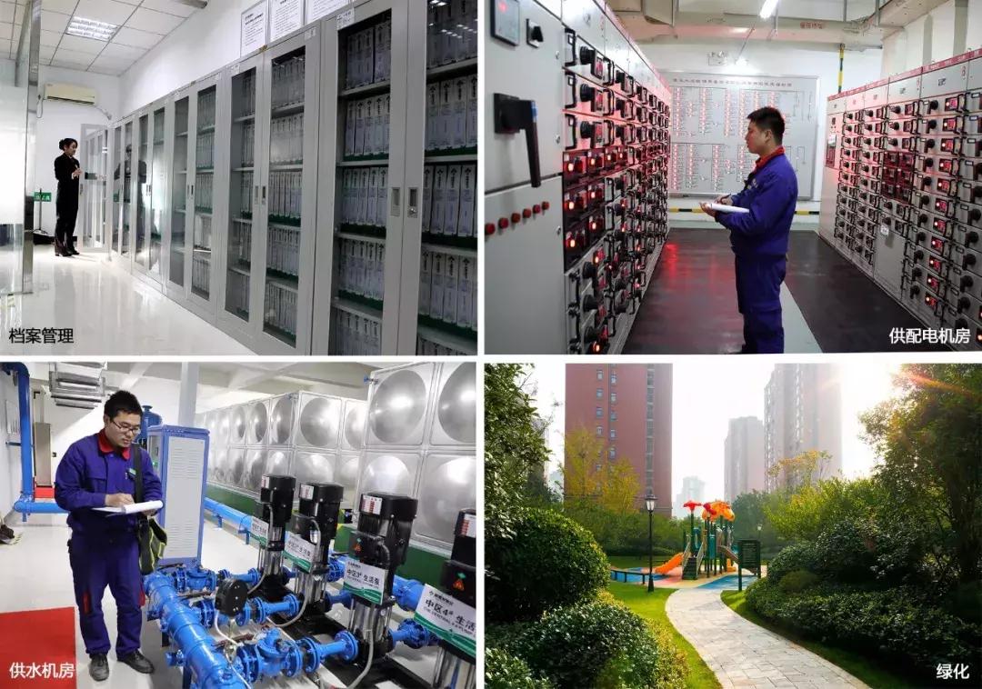 风雪中来，一见钟情，豫发何以傲娇？