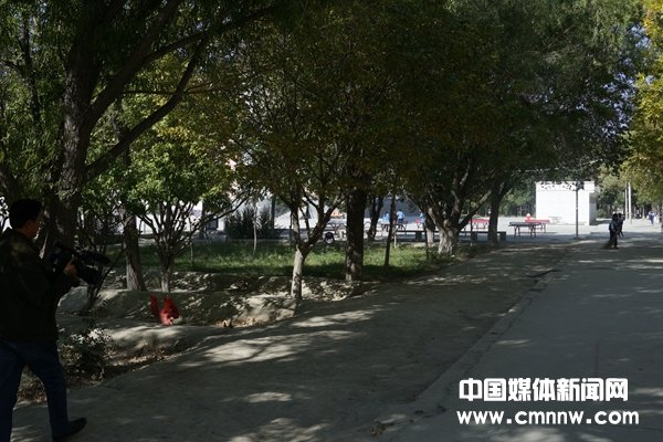 秋色中的*疆新**——故乡高泉（三）