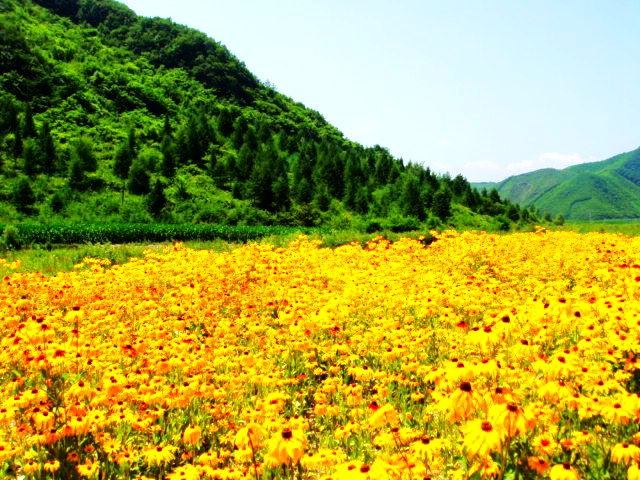 野钓意境图,意境泛舟钓鱼图