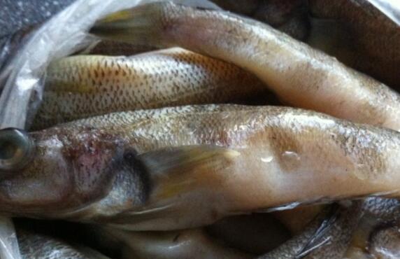 超市冰上的鱼能吃吗,超市卖的南极磷虾