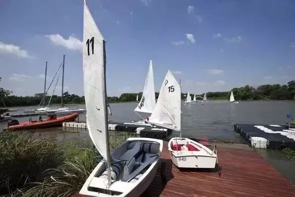 上海17号线朱家角到古镇,上海17号线东方绿舟