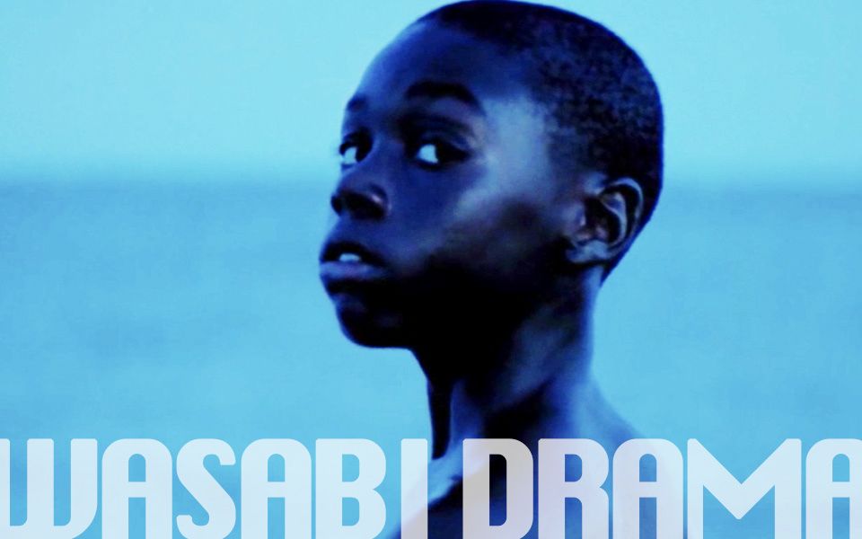 烂番茄上新鲜度100%的男同电影《月光男孩》