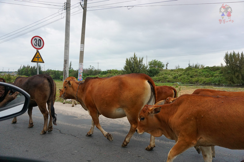 看我国仅次于死海和红海的最咸海区！吃比广东还好吃的烤乳猪！