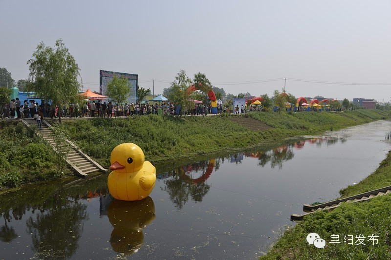 界首有个*瑰园玫**，美爆了！没去别后悔~