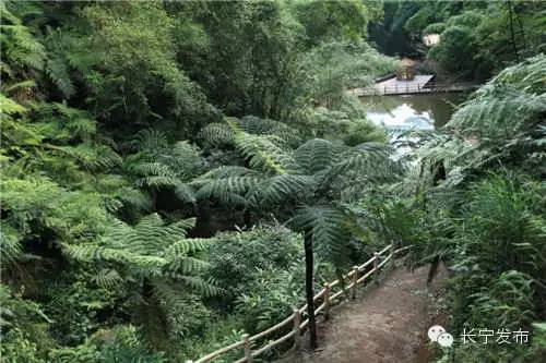 五一怎么耍？南溪“澳门游”，长宁篝火晚会、烤全羊、漂流，兴文花山节（攻略get√）