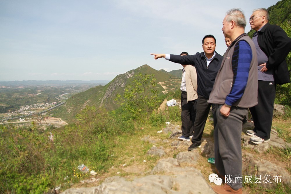 要闻丨何光弟等领导在成县调研工作