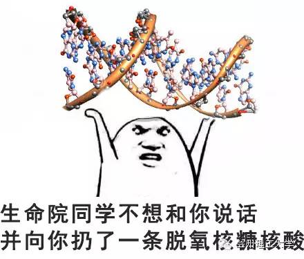 表情包阴阳怪气不找我,表情包来袭各位收好