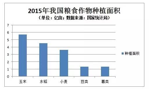 抗病抗虫抗倒伏十大玉米品种,黄淮最耐涝的玉米品种有哪些