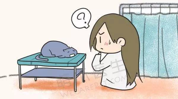 猫咪不吃饭流鼻涕口腔痰多,猫咪口臭不流口水拒绝进食