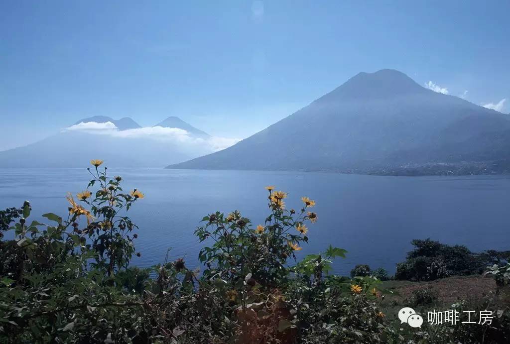 危地马拉咖啡豆产区,危地马拉和哥伦比亚咖啡豆对比