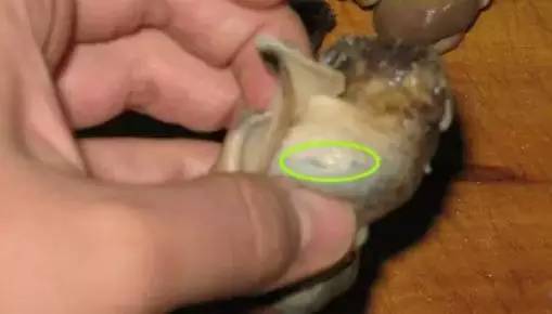 爱吃海鲜的人要注意什么,爱吃海鲜的人怎么避免痛风