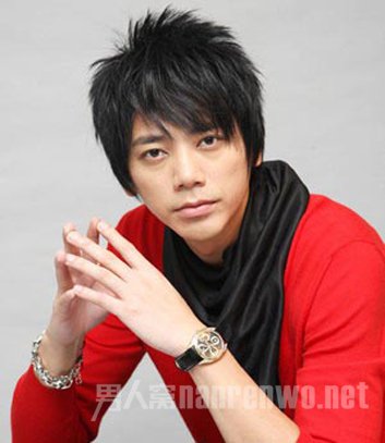 苏见信与张钰凰早年新闻,苏见信老婆张钰凰故事