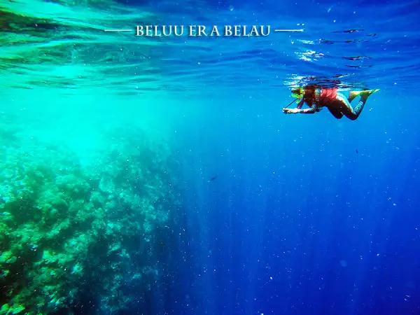 帕劳潜水之旅第三集,帕劳潜水之旅第二部