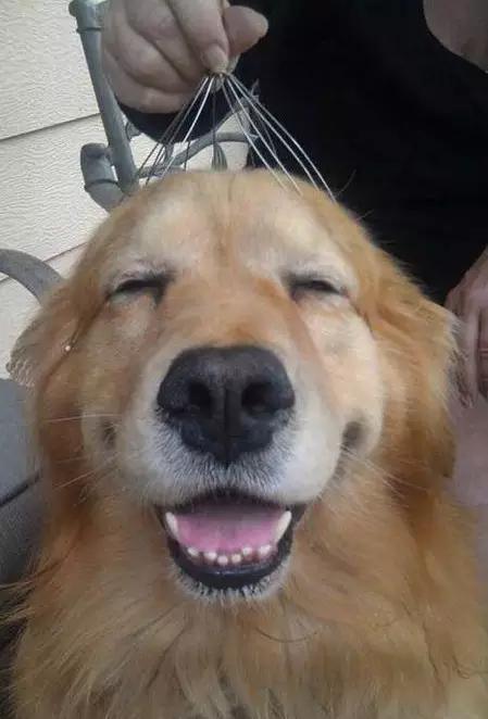 Day1.讨饭ornot讨饭？